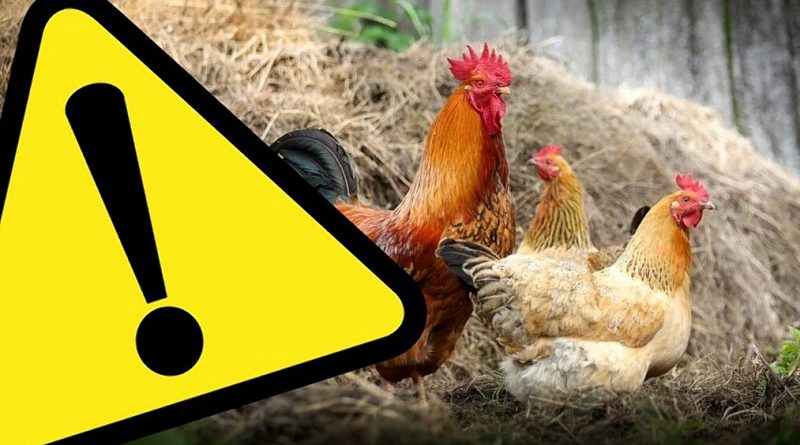 Rozporządzenie nr 28/2021 Wojewody Łódzkiego z dnia 23 grudnia 2021 r. w sprawie zwalczania wysoce zjadliwej grypy ptaków (HPAI)